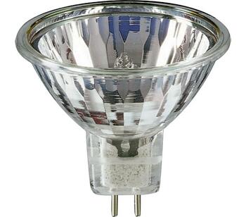 LAMP42504160